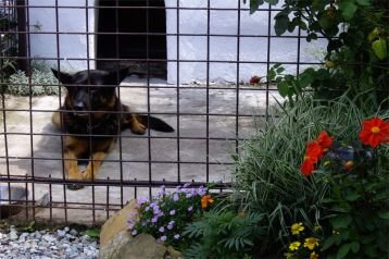 Slovacia Privát Závažná Poruba, Exteriorul